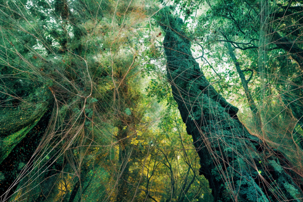 _randomstudios_httpss-mj-runiQDpyAOUZJY_The_image_is_an_abstr_c586b34a-418f-452b-b902-8f6f88219416_1-enhanced